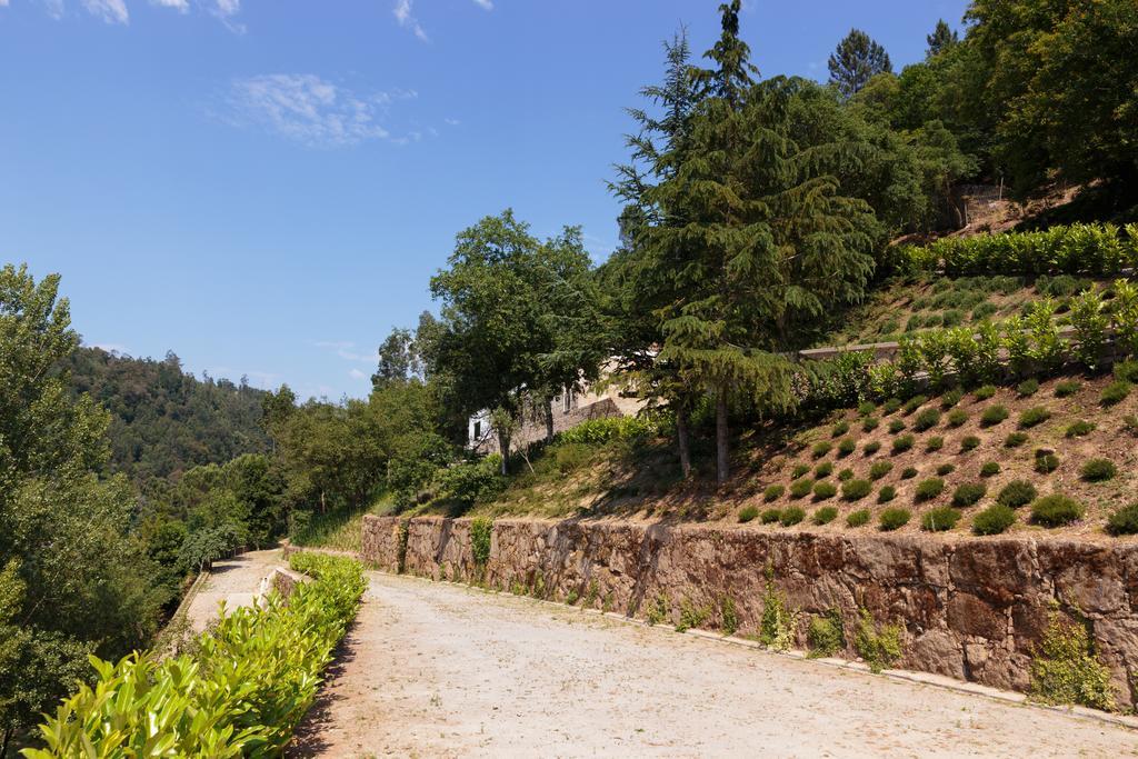 קסטלו דה פייבה Douro Green מראה חיצוני תמונה